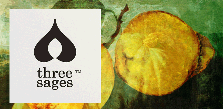 3sages Brand Identity