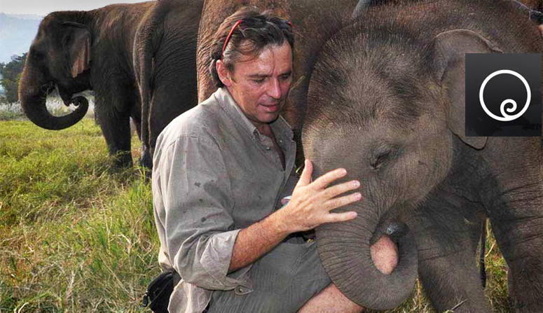 Elephant Earth Brand Identity