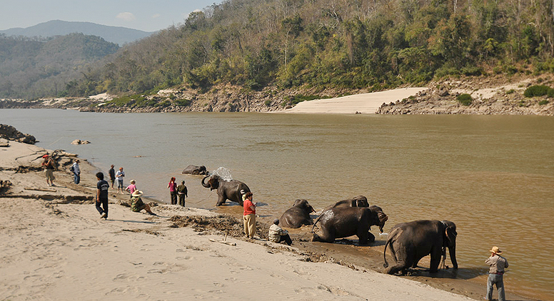 Elephent Earth
