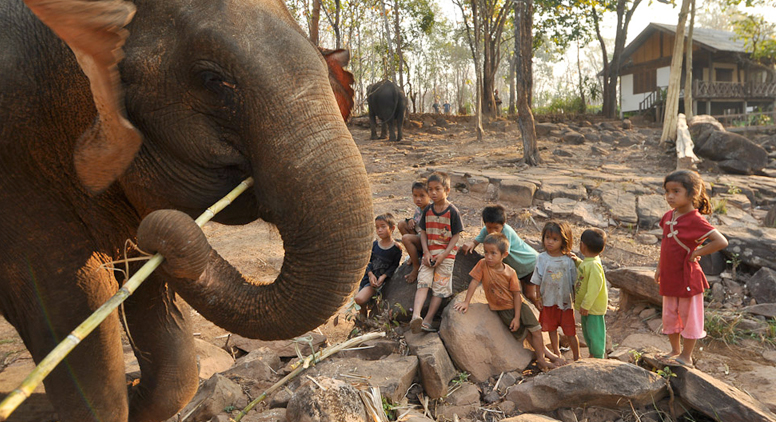 Elephent Earth
